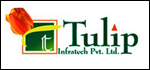 tulip